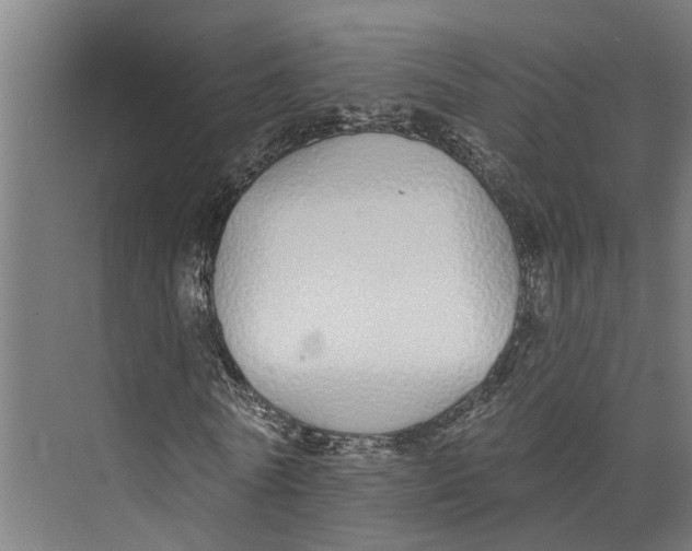 X0000073520770200608281732