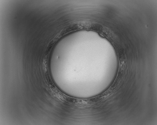 X0000073520772200608281732