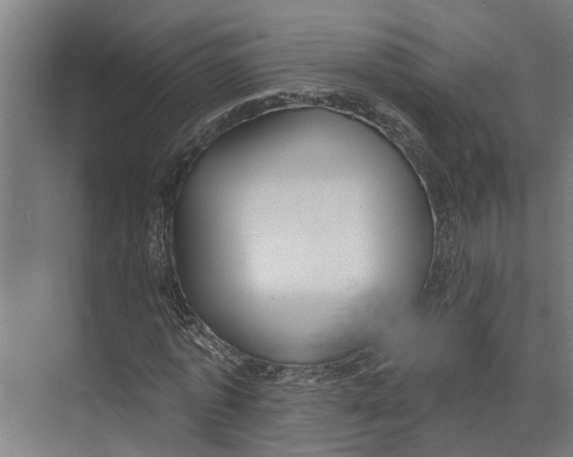 X0000073520773200608281732