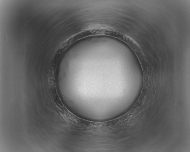 X0000073520775200608281732