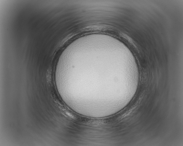 X0000073520778200608281732