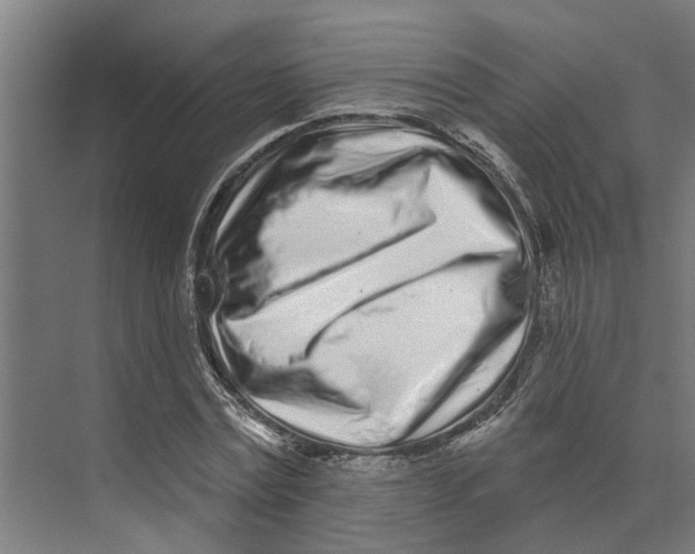 X0000073520779200608281732