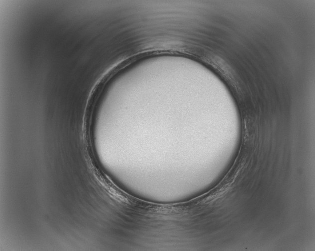 X0000073520780200608281732