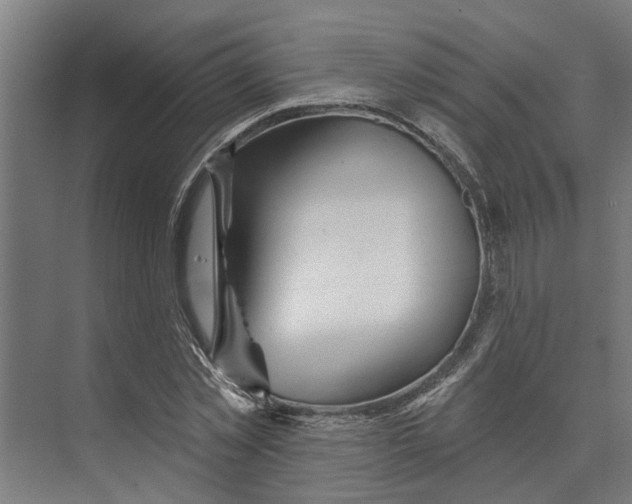 X0000073520781200608281732