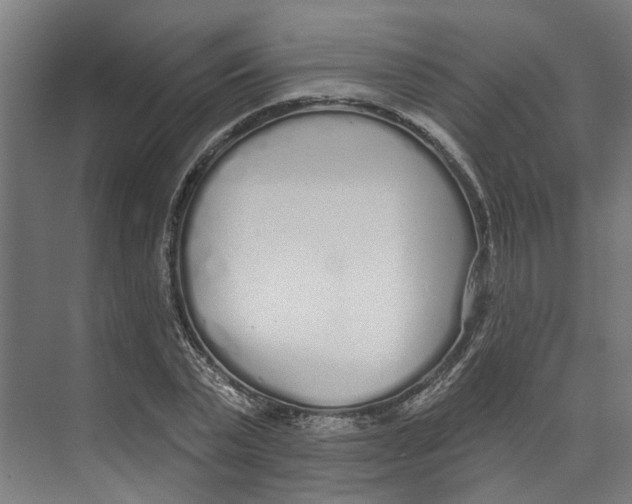 X0000073520783200608281732