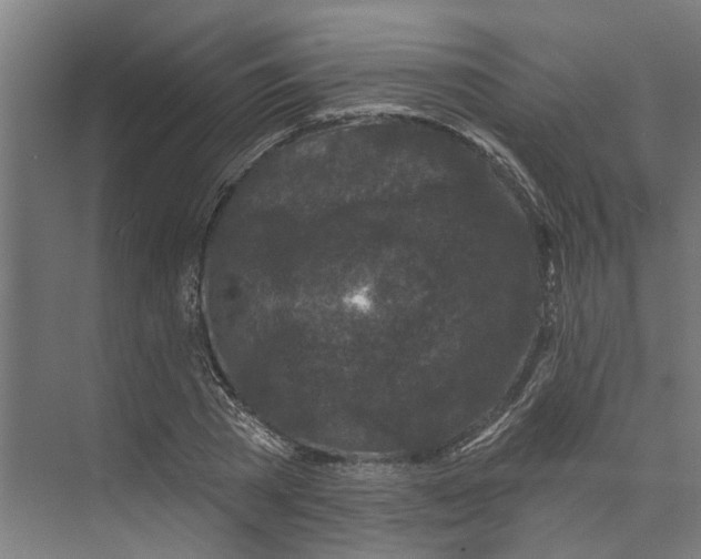 X0000073520785200608281732