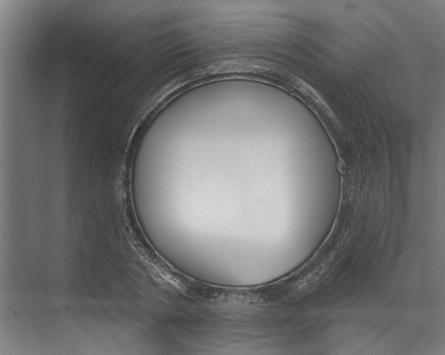 X0000073520786200608281732