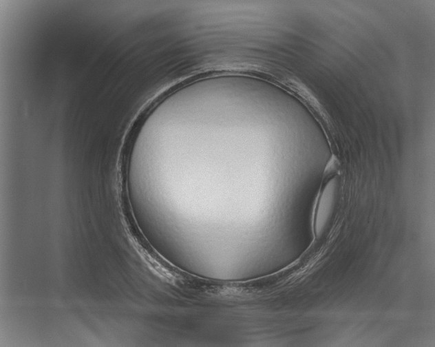 X0000073520787200608281732