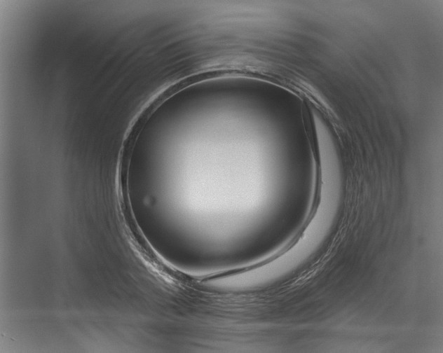 X0000073520788200608281732