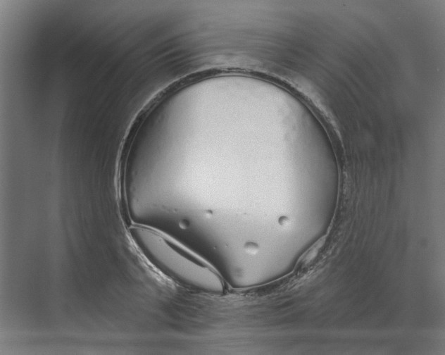 X0000073520791200608281732