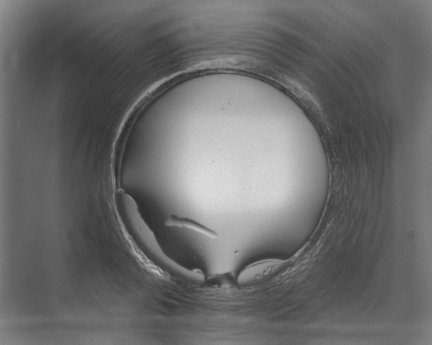 X0000073520792200608281732