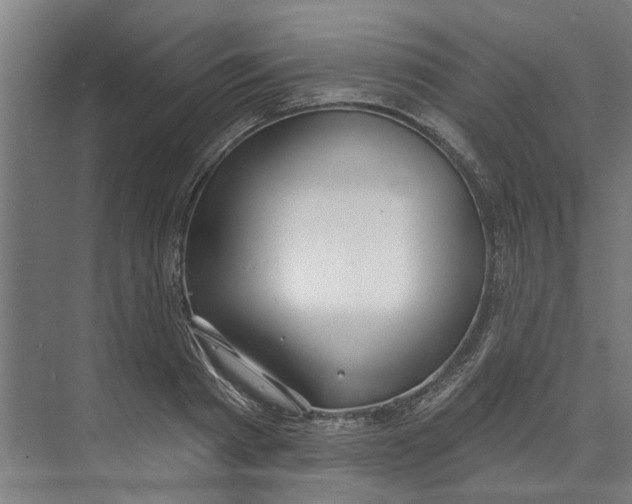 X0000073520793200608281732