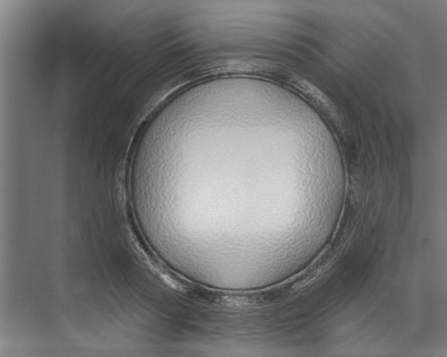 X0000073520794200608281732