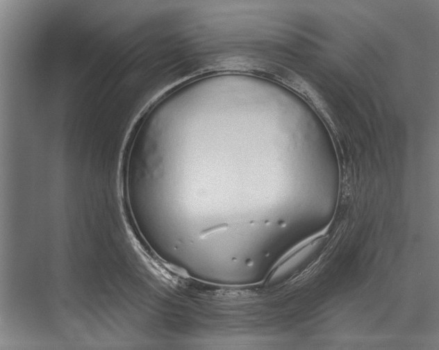 X0000073520795200608281732