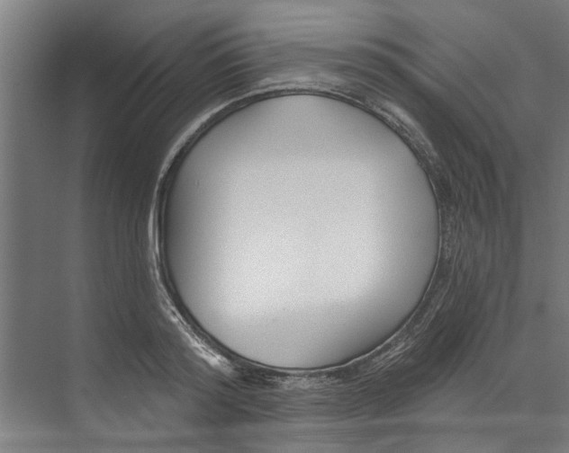 X0000073520796200608281732