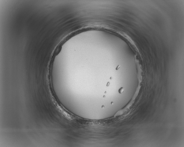 X0000073520799200608281732