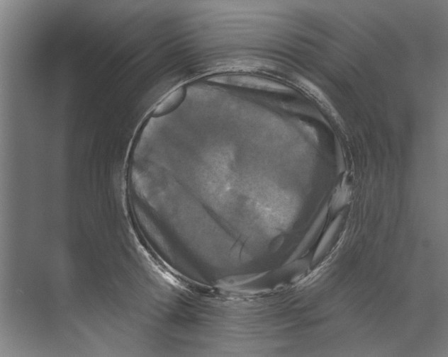 X0000073520802200608281732