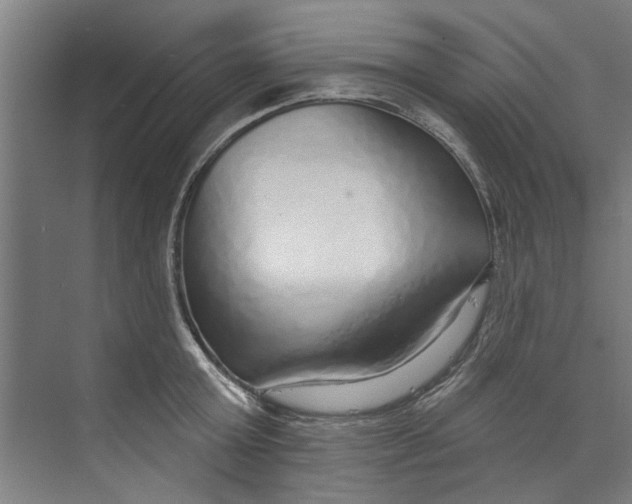 X0000073520803200608281732