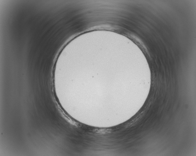 X0000073520808200608281731