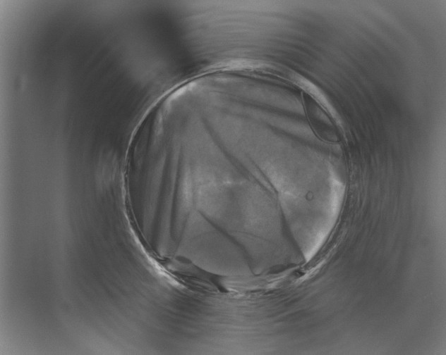 X0000073520810200608281731