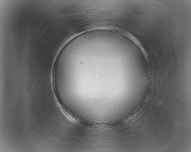 X0000073520811200608281731