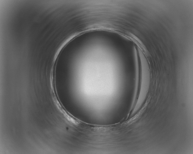 X0000073520812200608281731