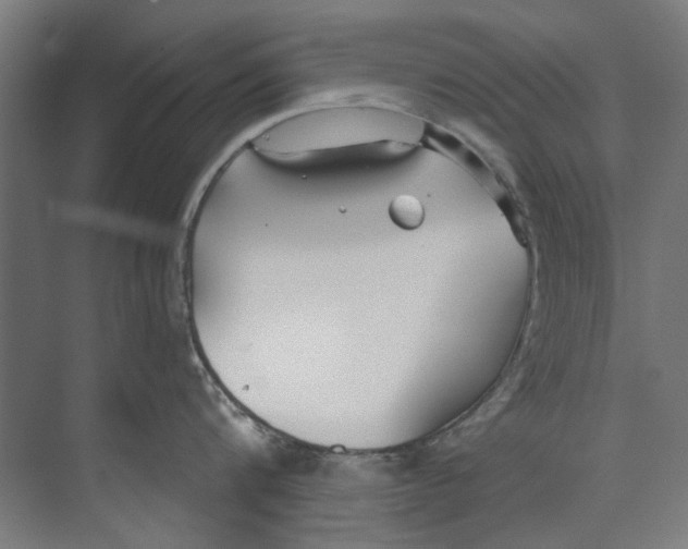 X0000073520816200608281731