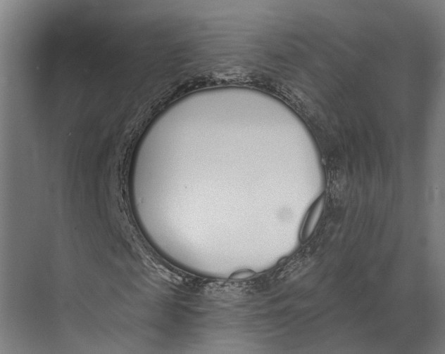 X0000073520817200608281731