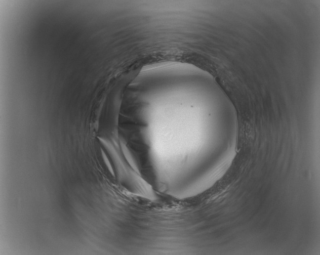 X0000073520818200608281731