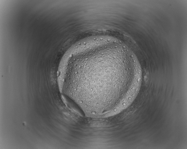 X0000073520819200608281731