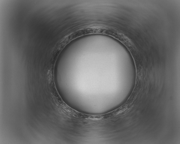 X0000073520821200608281731