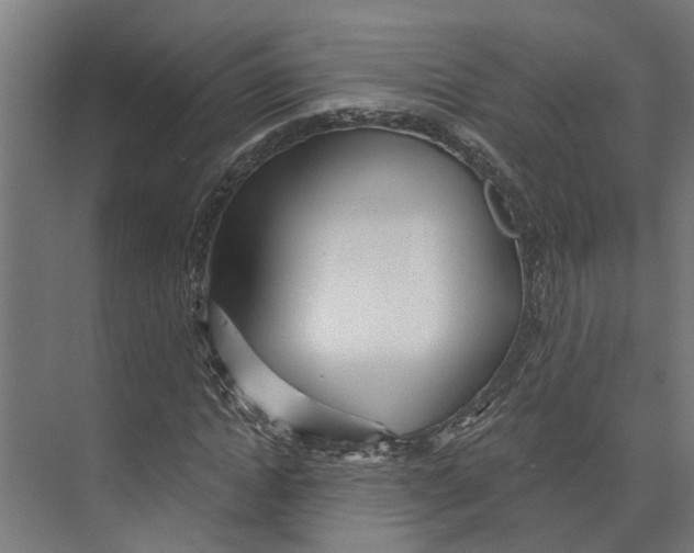 X0000073520822200608281731