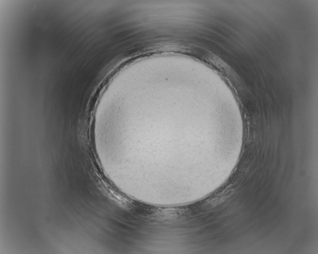 X0000073520828200608281731