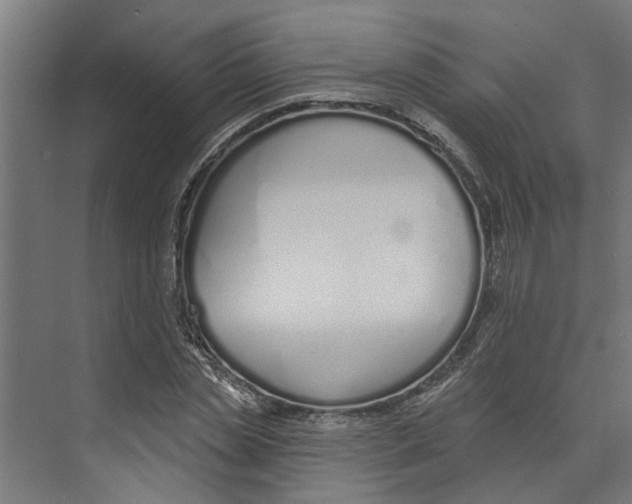 X0000073520829200608281731