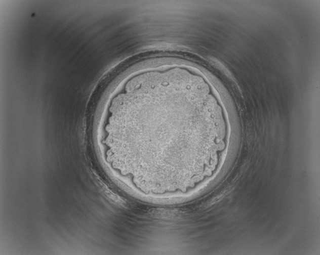 X0000073520831200608281731