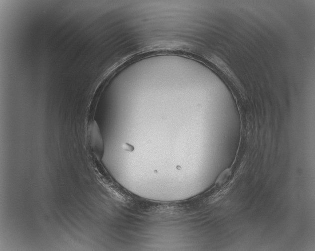 X0000073520834200608281731