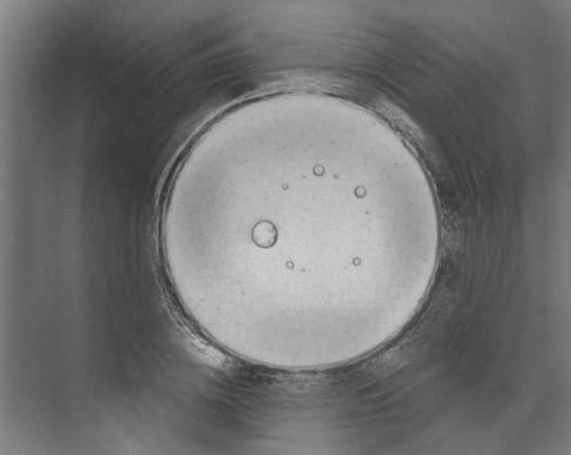 X0000073520836200608281731