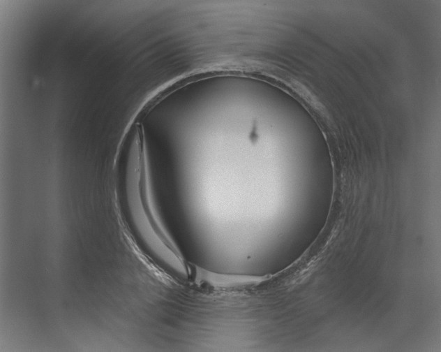 X0000073520838200608281731