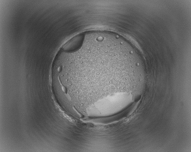 X0000073520839200608281731