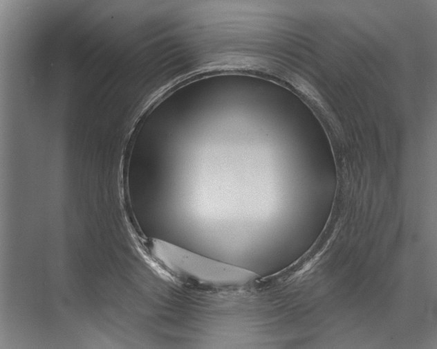 X0000073520842200608281731