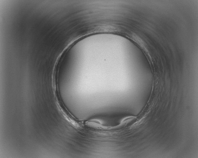 X0000073520843200608281731