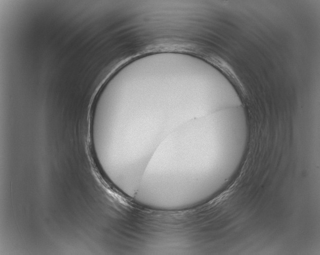 X0000073520844200608281731