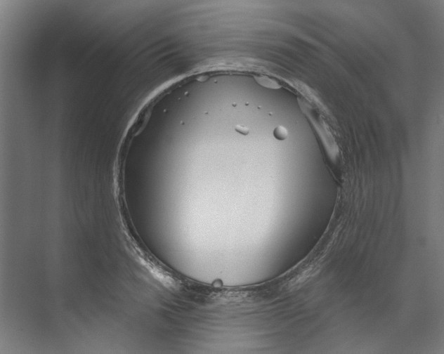 X0000073520846200608281731