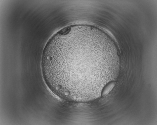 X0000073520847200608281731