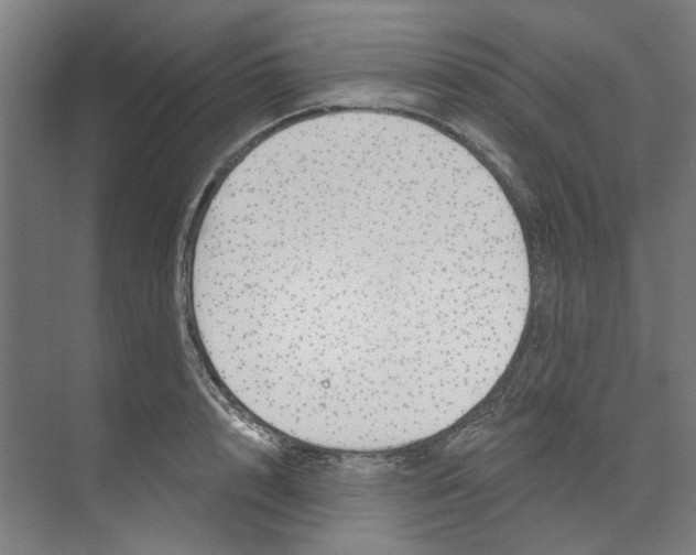 X0000073520848200608281731