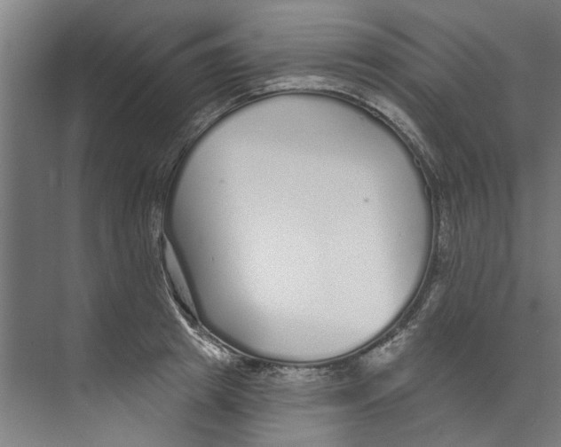 X0000073520849200608281731