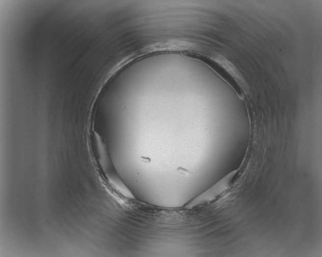 X0000073520850200608281731