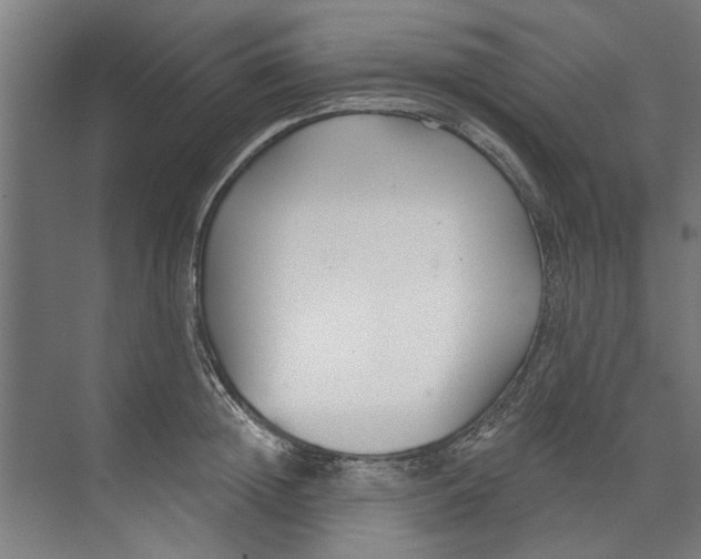 X0000073520852200608281731