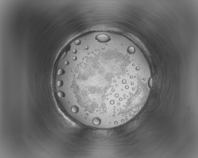 X0000073520855200608281731