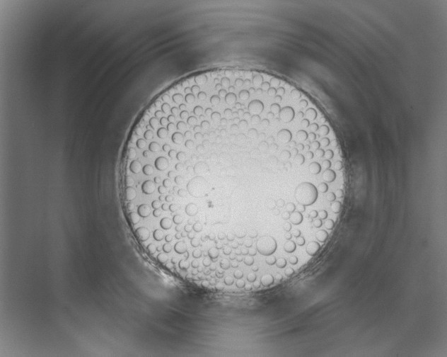 X0000073520856200608281731